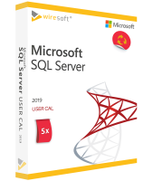 Microsoft SQL Server 2019 - 5 Pack User CALs Microsoft SQL Server 2019 - 5 Pack User CALs